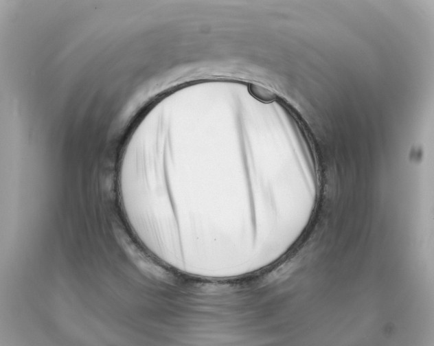 X0000091091499200709041251