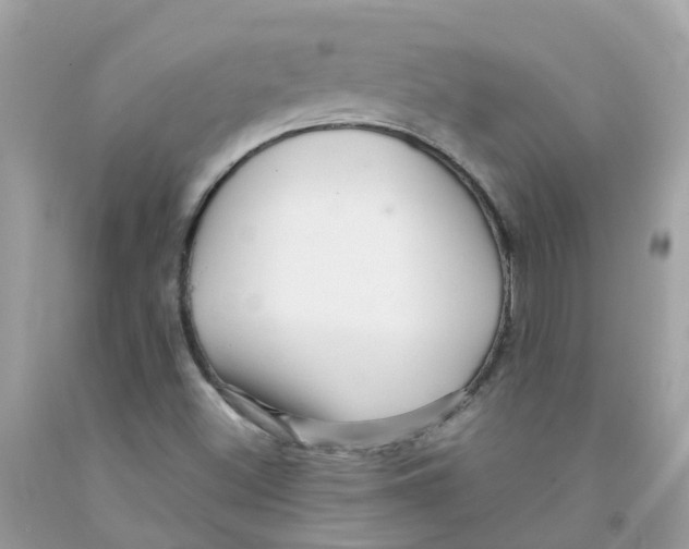 X0000091091500200709041251