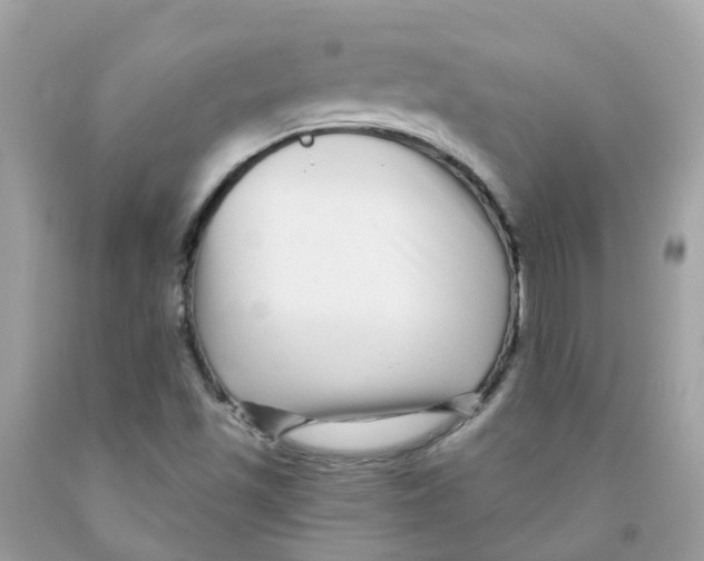 X0000091091501200709041251