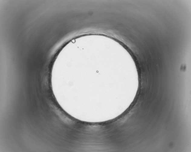 X0000091091502200709041251