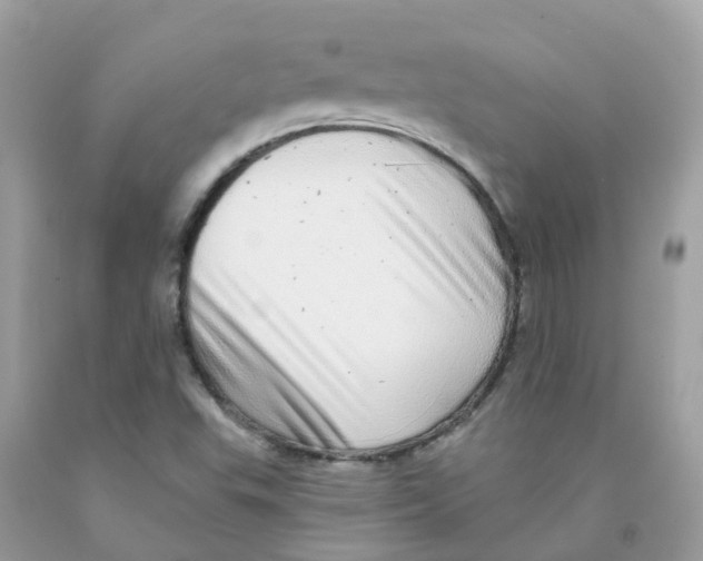 X0000091091503200709041251