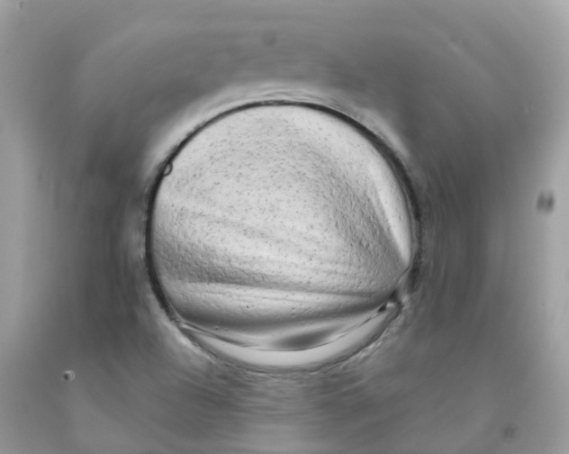 X0000091091504200709041251