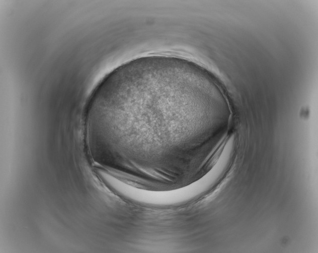 X0000091091506200709041251