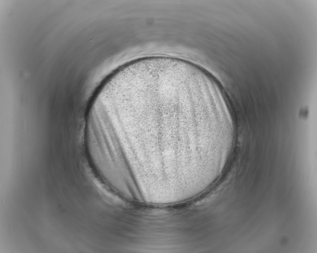 X0000091091507200709041251