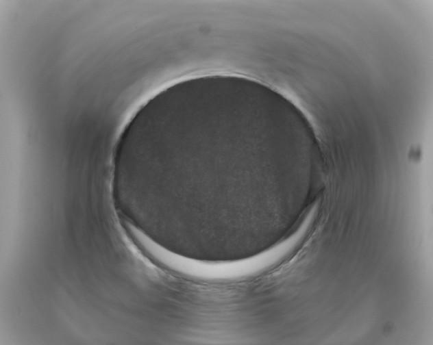 X0000091091508200709041251