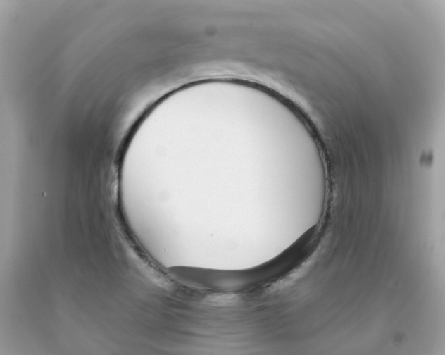 X0000091091509200709041251