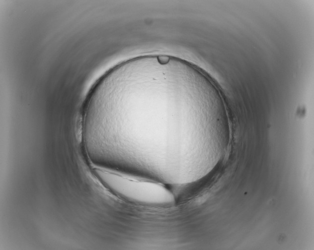 X0000091091510200709041251