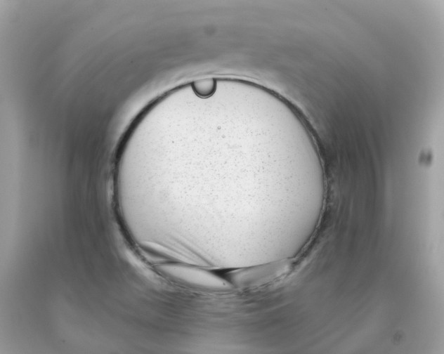 X0000091091511200709041251