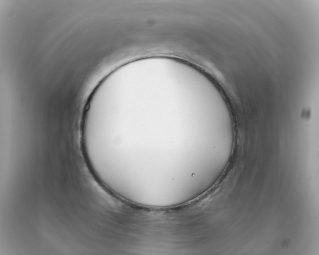 X0000091091512200709041251