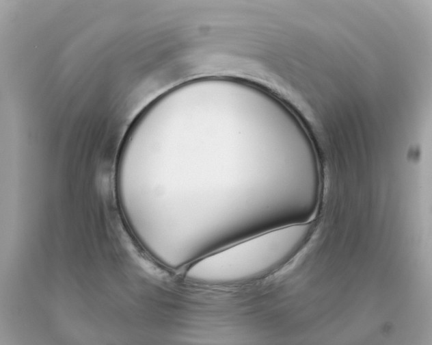 X0000091091513200709041251