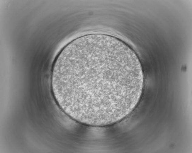 X0000091091514200709041251