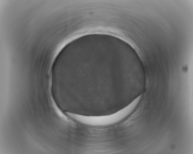 X0000091091515200709041251