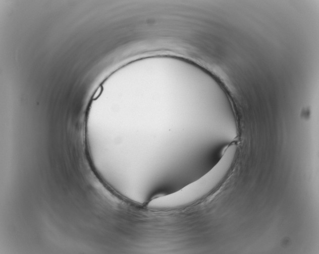 X0000091091516200709041251