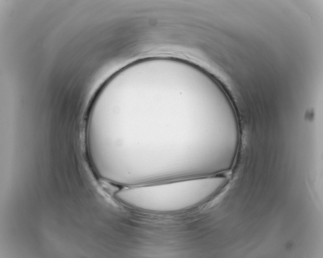 X0000091091517200709041251