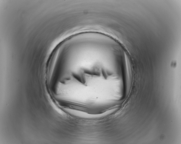 X0000091091519200709041251