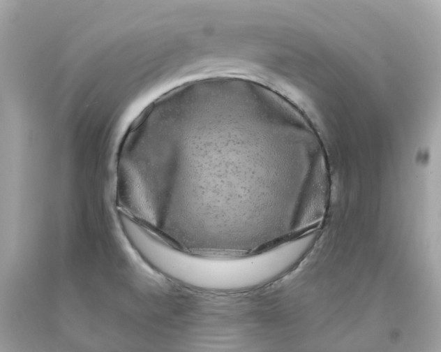 X0000091091520200709041251