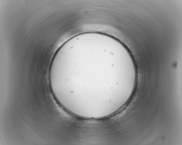 X0000091091521200709041251