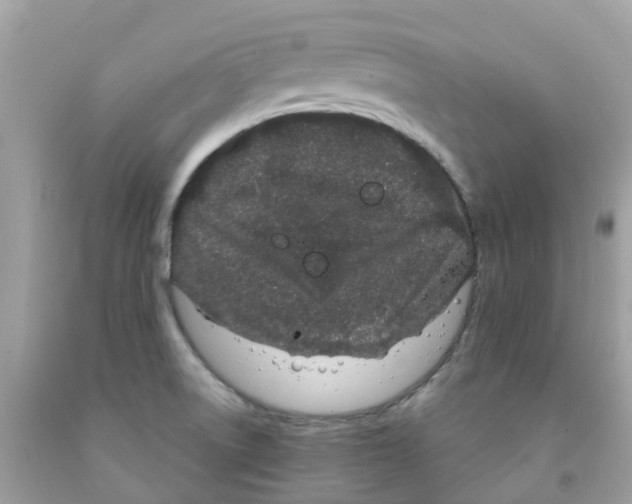 X0000091091522200709041251