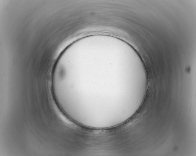 X0000091091523200709041251