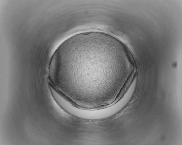 X0000091091524200709041251