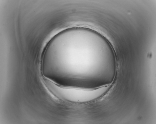 X0000091091525200709041251