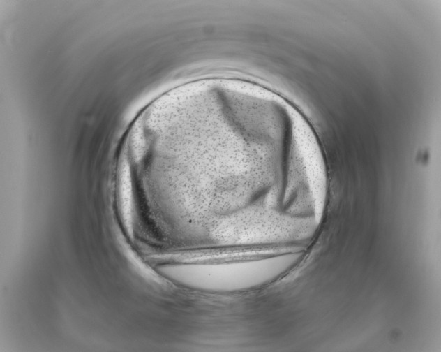 X0000091091526200709041252