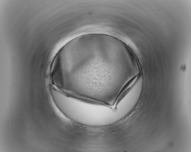 X0000091091528200709041252