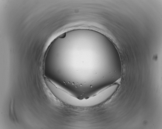 X0000091091530200709041252