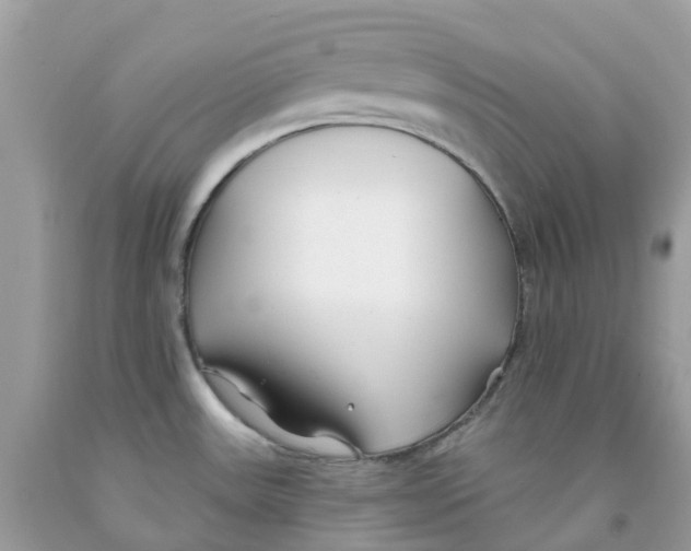 X0000091091531200709041252