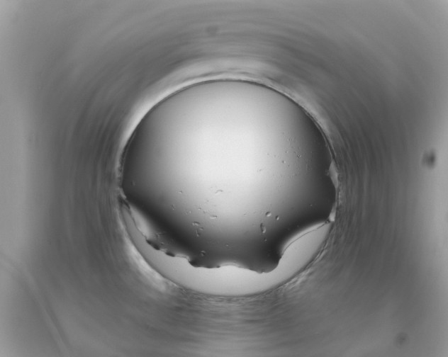 X0000091091532200709041252