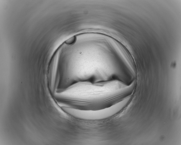 X0000091091533200709041252