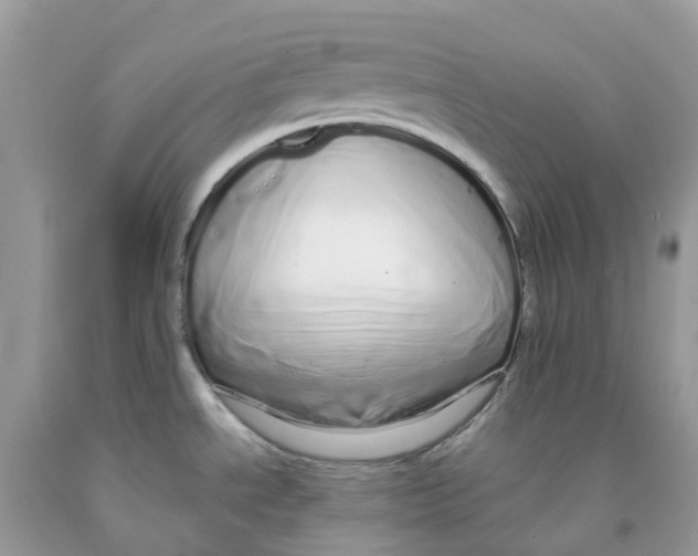 X0000091091534200709041252