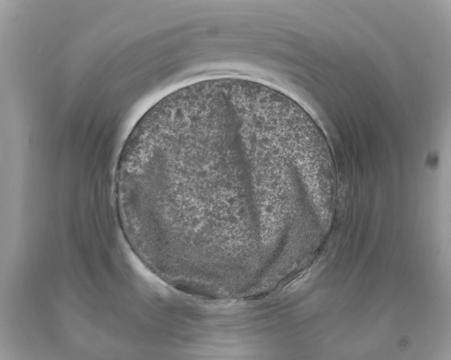 X0000091091535200709041252