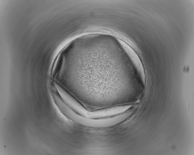 X0000091091536200709041252