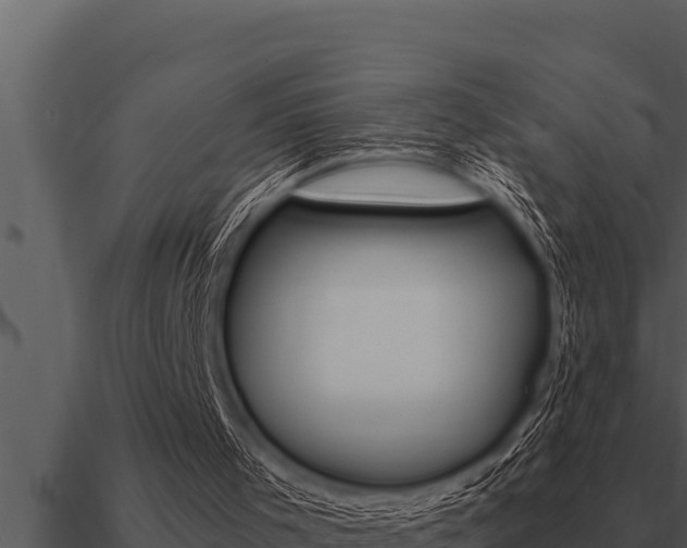 X0000091100001200708061032