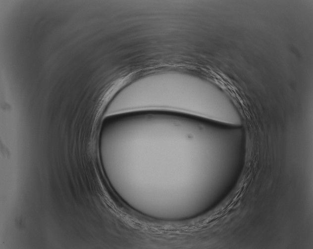 X0000091100003200708061032