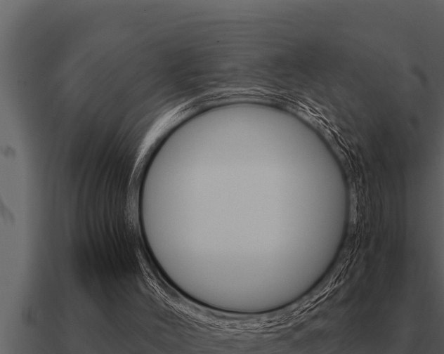 X0000091100004200708061032