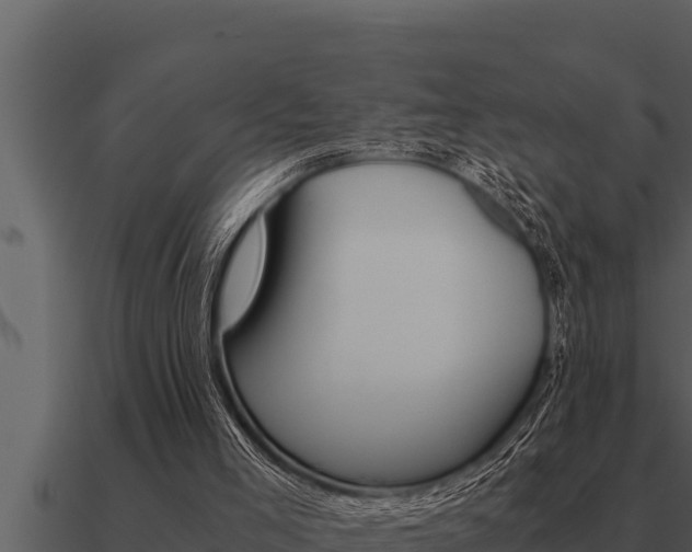 X0000091100005200708061032