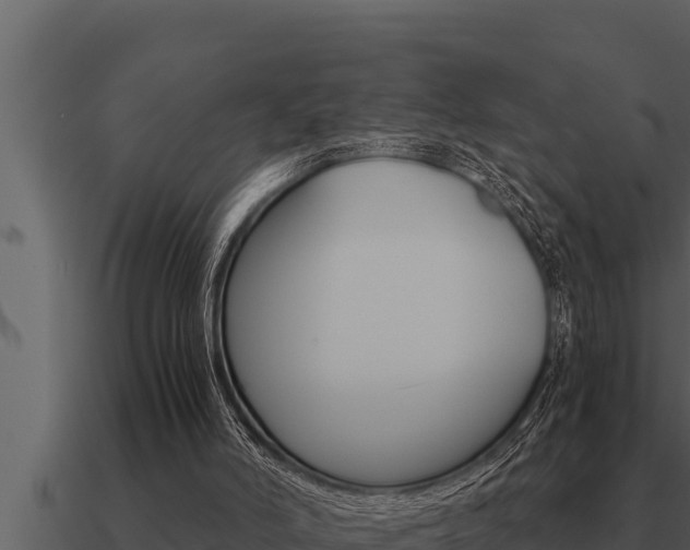 X0000091100006200708061032