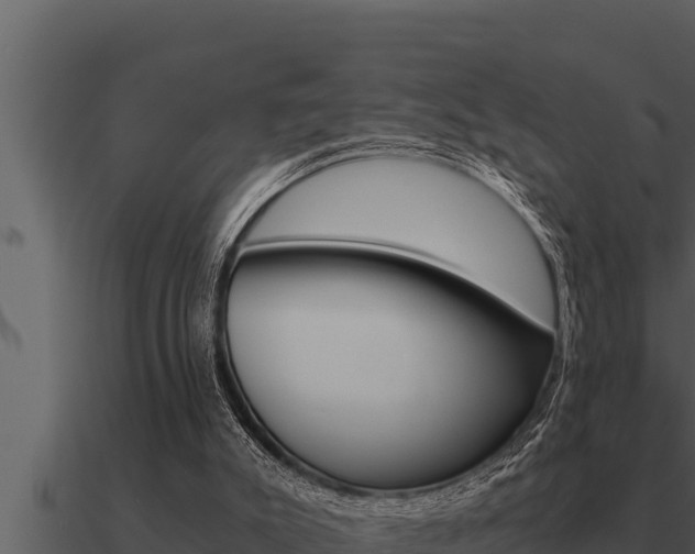 X0000091100007200708061032