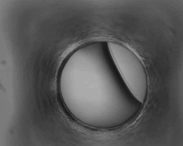 X0000091100008200708061032