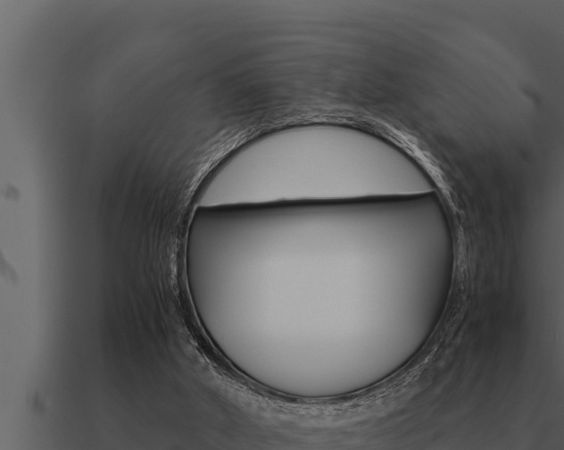 X0000091100010200708061032