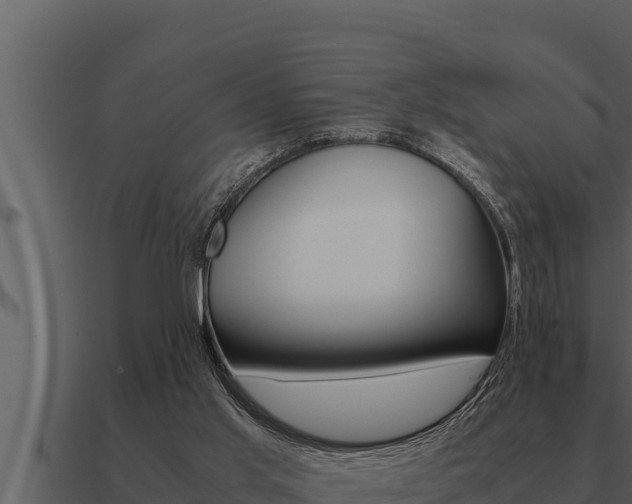 X0000091100013200708061032