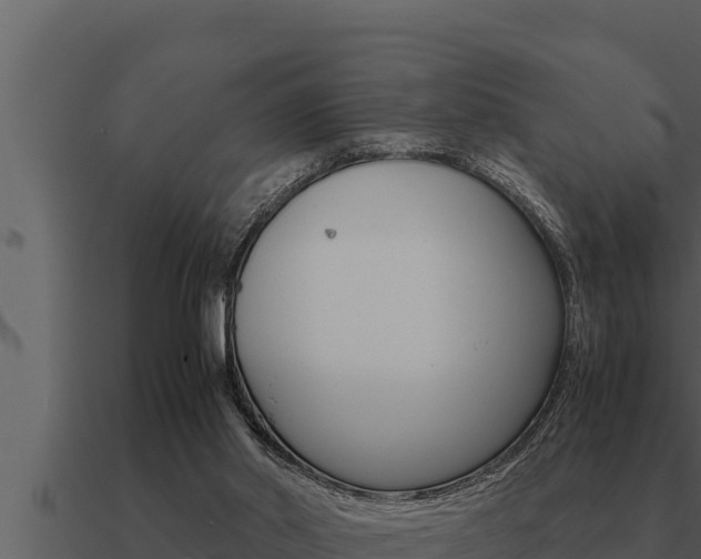 X0000091100014200708061032