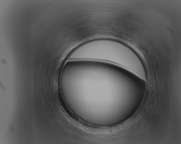 X0000091100015200708061032