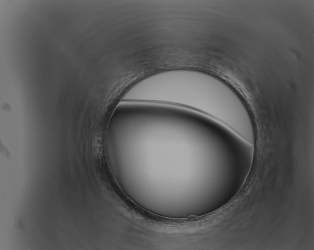 X0000091100017200708061032