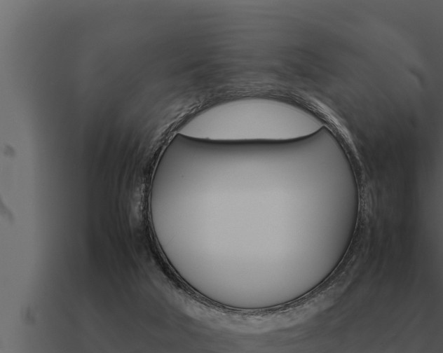 X0000091100018200708061032