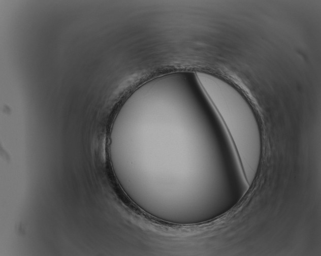 X0000091100019200708061032