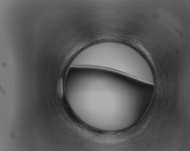 X0000091100020200708061032