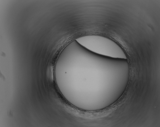 X0000091100022200708061032